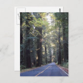Avenue of the Giants - Humboldt Redwoods Staat Par Postkarte (Vorne/Hinten)