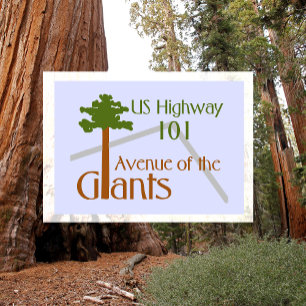 Avenue of the Giants Humboldt Redwoods Staat Park Postkarte