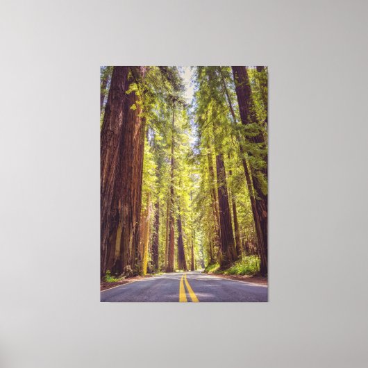 Avenue of the Giants Leinwanddruck (Vorderseite)