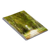 Avenue of Trees Foto Notebook Notizblock (Rechte Seite)