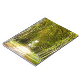 Avenue of Trees Foto Notebook Notizblock (Linke Seite)