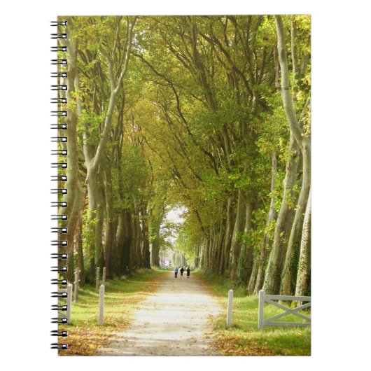 Avenue of Trees Foto Notebook Notizblock (Vorderseite)