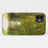 Avenue of Trees iPhone SE+5/5S Case (Rückseite (Horizontal))