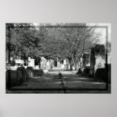 Avenue Poster (Vorne)