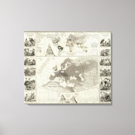 Aves, Vögel Leinwanddruck (Vorderseite)