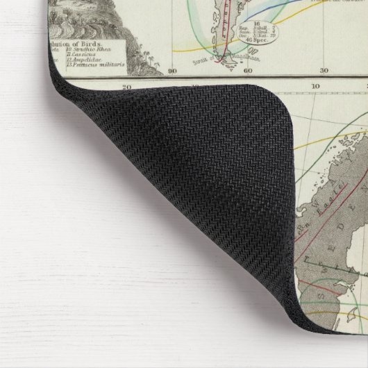 Aves, Vögel Mousepad (Ecke)