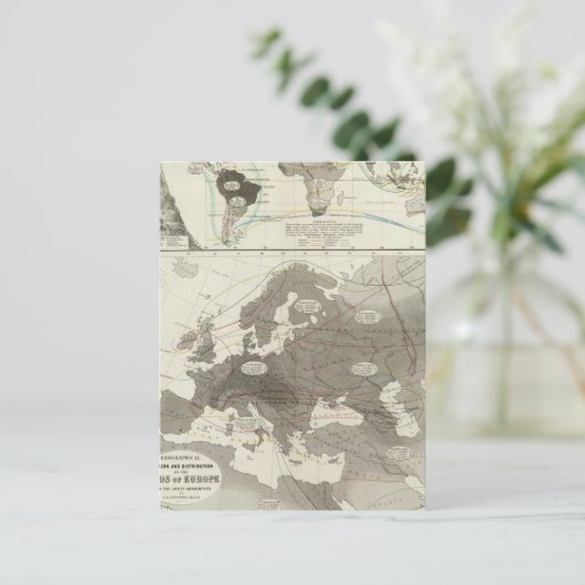 Aves, Vögel Postkarte (Stehend Vorderseite)