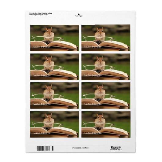 Aviales Chipmunk-Buchzeichen (Vorne)