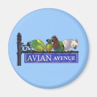 Avian Avenue Magnete Magnet