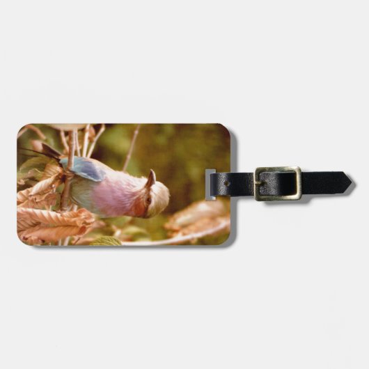 Aviär Gepäckanhänger (Vorderseite horizontal)