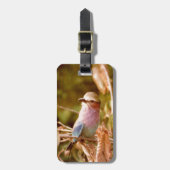 Aviär Gepäckanhänger (Vorderseite vertikal)