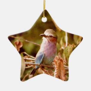Aviär Keramikornament