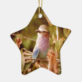 Aviär Keramikornament (Links)
