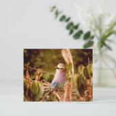 Aviär Postkarte (Stehend Vorderseite)