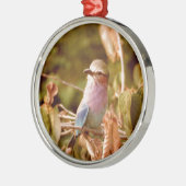 Aviär Silbernes Ornament (Links)