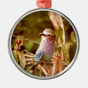 Aviär Silbernes Ornament