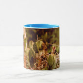 Aviär Tasse (Zentrum)