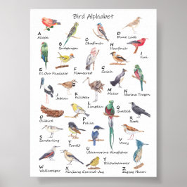 Aviäre Alphabet: A bis Z des Vogelplakats Poster
