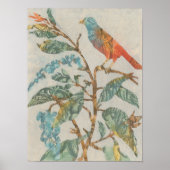 Aviäre Collage II Poster (Vorne)