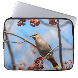 Aviäre Fotografie, Bohemisches Waxwing Laptopschutzhülle