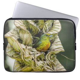 Aviäre Fotografie, Olive Backed Euphonia Laptopschutzhülle