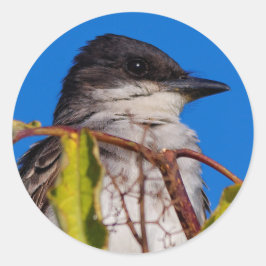 Aviäre Lizenzrechte: Eastern Kingbird Runder Aufkleber