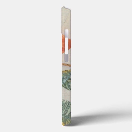 Aviary-Collage II Case-Mate iPhone Hülle (Rückseite / Links)