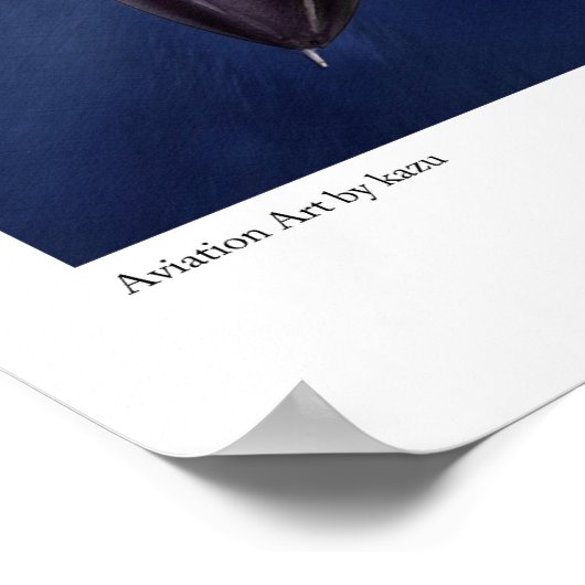 Aviation Art Poster "F-14 Tomcat" (Ecke)