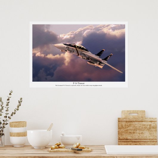 Aviation Art Poster "F-14 Tomcat" (Küche)