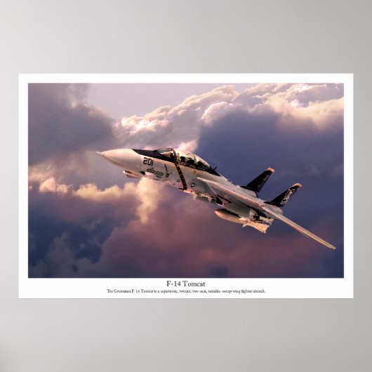 Aviation Art Poster "F-14 Tomcat" (Vorne)