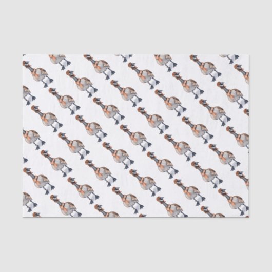 Aviator Goose Seidenpapier (Vorderseite)