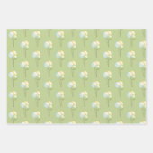 Aviator Wolf, gestreift, Balloons Geschenkpapier Set (Vorderseite 3)