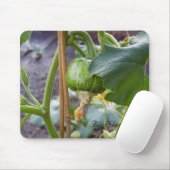 Avid Gardener: Buttercup Squash Mousepad (Mit Mouse)
