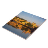 Avignon, Vaucluse, Provence, Frankreich, Rhone Fliese (Seite)
