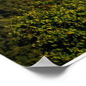 Avila bei Sunrise Poster (Ecke)