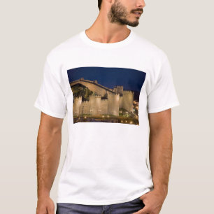 Avila, Kastilien und Leon, Spanien T-Shirt