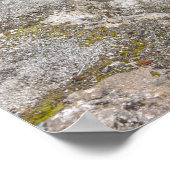 Avoca Spring, Biscuit Becken, Gelbstein Poster (Ecke)