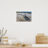 Avoca Spring, Biscuit Becken, Gelbstein Poster (Küche)