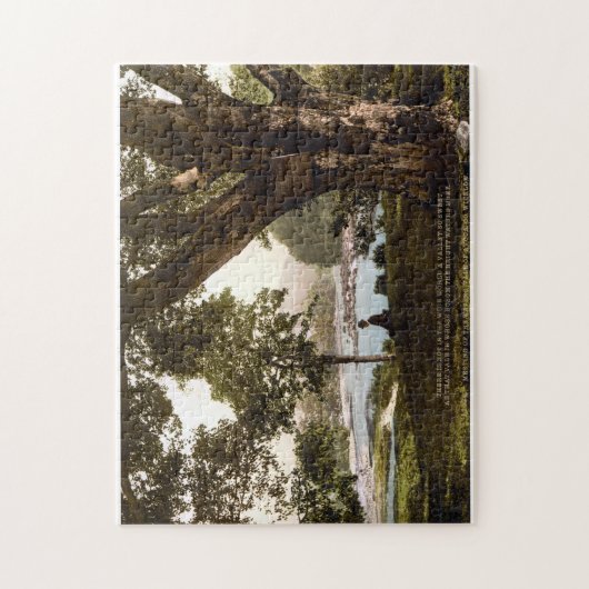 Avoca Wicklow Irland, Thomas Moore Gedicht Puzzle (Vertikal)