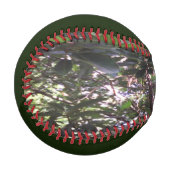 Avocado-Baum Baseball (Vorderseite Links)