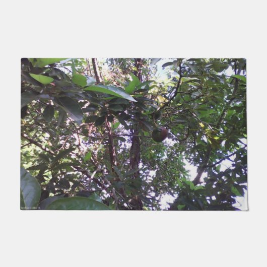 Avocado-Baum Fußmatte (Vorderseite)