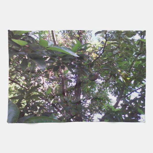 Avocado-Baum Geschirrtuch (Horizontal)