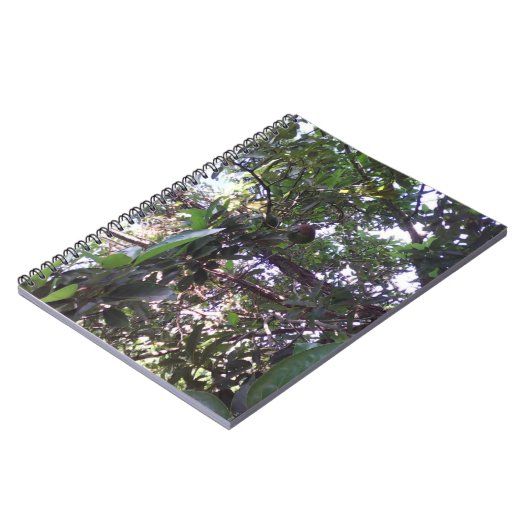 Avocado-Baum Notizblock (Linke Seite)