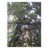 Avocado-Baum Notizblock (Vorderseite)