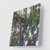 Avocado-Baum Quadratische Wanduhr (Winkel)