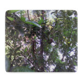 Avocado-Baum Schneidebrett (Vorderseite)