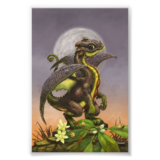Avocado Dragon 4x6 Print Fotodruck (Vorne)
