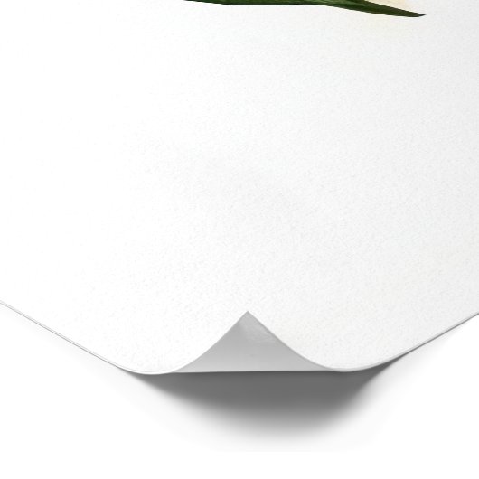 AVOCADO druckbar Poster (Ecke)