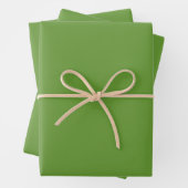 Avocado Green Geschenkpapier Set (Beispiel)