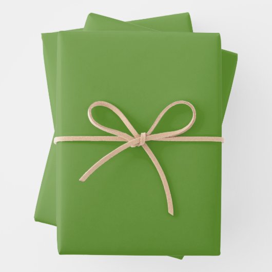 Avocado Green Geschenkpapier Set (Beispiel)